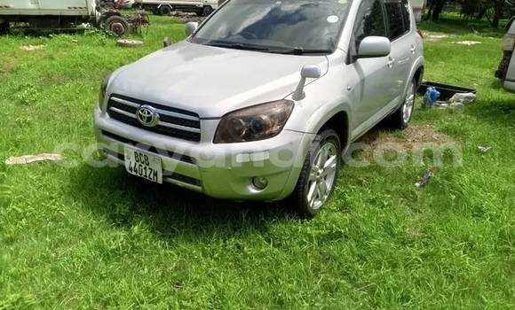 Buy Used Toyota RAV4 Other Car in Lusaka in Zambia