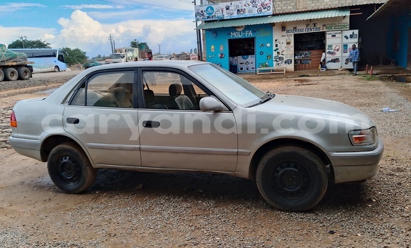 Buy Used Toyota Corolla Beige Car in Lusaka in Zambia Buy Used Toyota Corolla Beige Car in Lusaka in Zambia