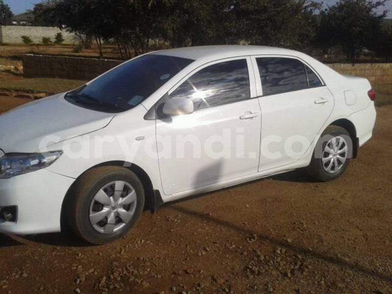 Big with watermark 13707572 595745237274735 7484125588354179753 n