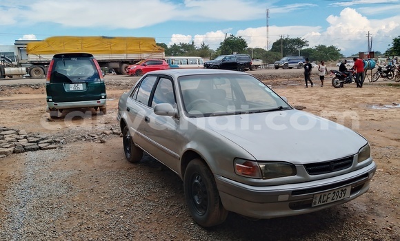 Buy Used Toyota Corolla Beige Car in Lusaka in Zambia Buy Used Toyota Corolla Beige Car in Lusaka in Zambia
