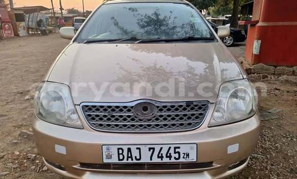 Buy Used Toyota Allex Other Car in Lusaka in Zambia Buy Used Toyota Allex Other Car in Lusaka in Zambia