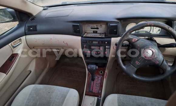 Buy Used Toyota Allex Other Car in Lusaka in Zambia Buy Used Toyota Allex Other Car in Lusaka in Zambia