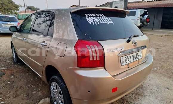 Buy Used Toyota Allex Other Car in Lusaka in Zambia Buy Used Toyota Allex Other Car in Lusaka in Zambia