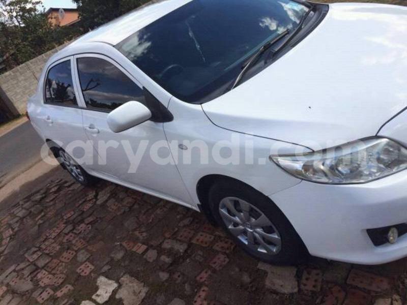 Big with watermark 13707694 595745220608070 4996438328235203090 n