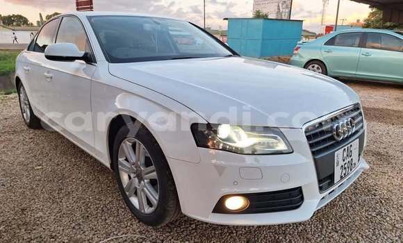 Tenga Tsaru Audi Cabriolet Chena Mota in Lusaka in Zambia Tenga Tsaru Audi Cabriolet Chena Mota in Lusaka in Zambia