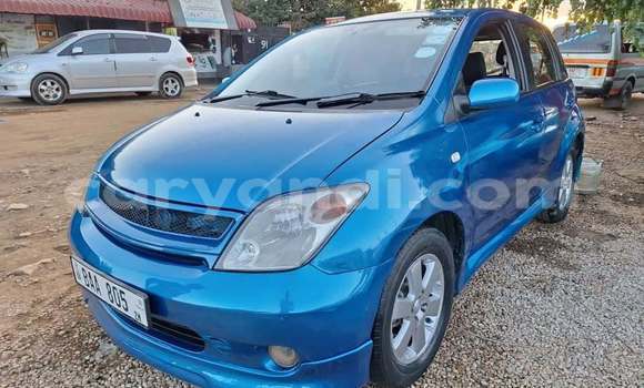 Tenga Tsaru Toyota IST Bhuruu Mota in Lusaka in Zambia Tenga Tsaru Toyota IST Bhuruu Mota in Lusaka in Zambia