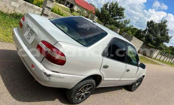 Buy Used Toyota Corolla White Car in Lusaka in Zambia Buy Used Toyota Corolla White Car in Lusaka in Zambia