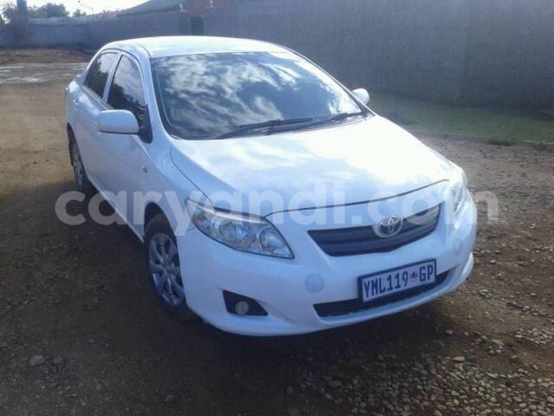 Big with watermark 13716206 595745207274738 7675066944343343507 n