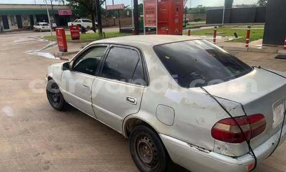 Buy Used Toyota Corolla Other Car in Lusaka in Zambia