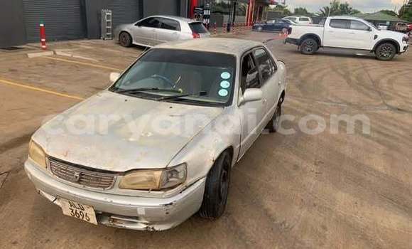 Buy Used Toyota Corolla Other Car in Lusaka in Zambia Buy Used Toyota Corolla Other Car in Lusaka in Zambia