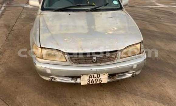 Buy Used Toyota Corolla Other Car in Lusaka in Zambia Buy Used Toyota Corolla Other Car in Lusaka in Zambia