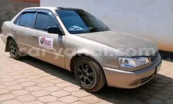 Buy Used Toyota Corolla Other Car in Lusaka in Zambia Buy Used Toyota Corolla Other Car in Lusaka in Zambia