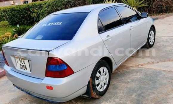 Nunua Ilio tumika Toyota Corolla Nyingine Gari ndani ya Lusaka nchini Zambia Nunua Ilio tumika Toyota Corolla Nyingine Gari ndani ya Lusaka nchini Zambia