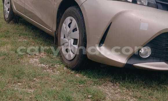 Buy Used Toyota Vitz Other Car in Lusaka in Zambia Buy Used Toyota Vitz Other Car in Lusaka in Zambia