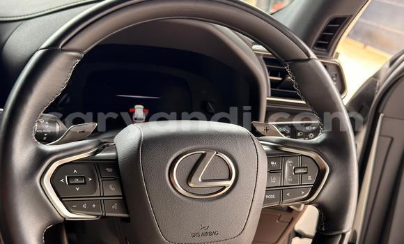 Buy Import Lexus LX 570 White Car in Lusaka in Zambia Buy Import Lexus LX 570 White Car in Lusaka in Zambia
