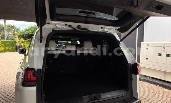 Buy Import Lexus LX 570 White Car in Lusaka in Zambia Buy Import Lexus LX 570 White Car in Lusaka in Zambia