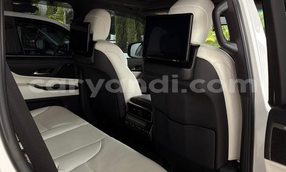 Buy Import Lexus LX 570 White Car in Lusaka in Zambia Buy Import Lexus LX 570 White Car in Lusaka in Zambia