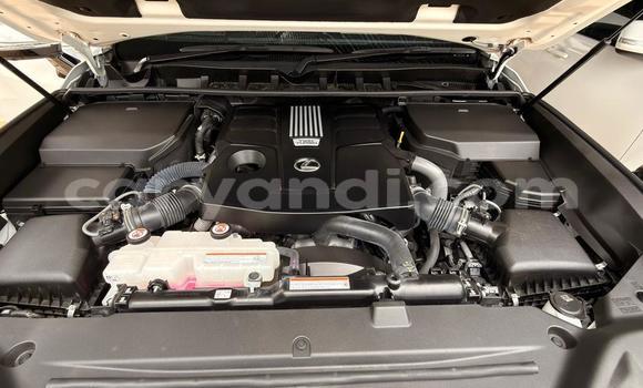 Buy Import Lexus LX 570 White Car in Lusaka in Zambia Buy Import Lexus LX 570 White Car in Lusaka in Zambia