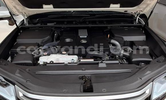 Buy Import Lexus LX 570 White Car in Lusaka in Zambia Buy Import Lexus LX 570 White Car in Lusaka in Zambia