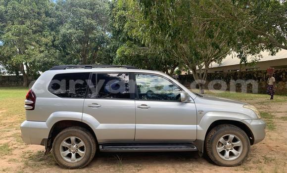 Nunua Ilio tumika Toyota Prado Fedha Gari ndani ya Lusaka nchini Zambia Nunua Ilio tumika Toyota Prado Fedha Gari ndani ya Lusaka nchini Zambia