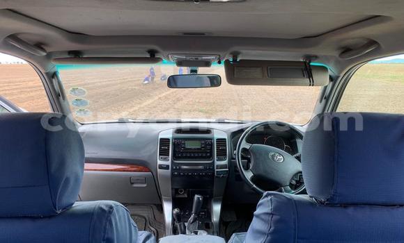 Nunua Ilio tumika Toyota Prado Fedha Gari ndani ya Lusaka nchini Zambia Nunua Ilio tumika Toyota Prado Fedha Gari ndani ya Lusaka nchini Zambia