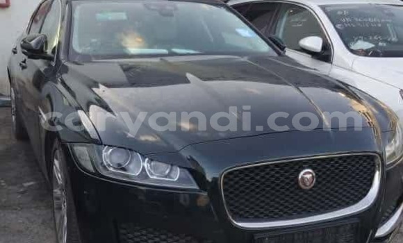 Nunua Ilio tumika Jaguar XF Kijani Gari ndani ya Mpika nchini Kaskazini