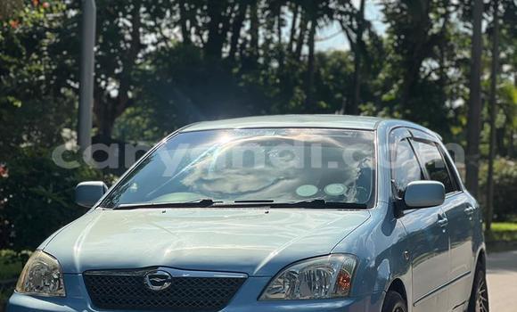 Nunua Ilio tumika Toyota Runx Bluu Gari ndani ya Kitwe nchini Zambia Nunua Ilio tumika Toyota Runx Bluu Gari ndani ya Kitwe nchini Zambia