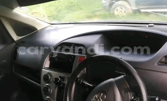 Buy Used Toyota Ractis Other Car in Limulunga in Western Buy Used Toyota Ractis Other Car in Limulunga in Western
