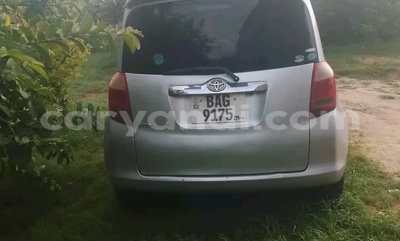 Buy Used Toyota Ractis Other Car in Limulunga in Western Buy Used Toyota Ractis Other Car in Limulunga in Western