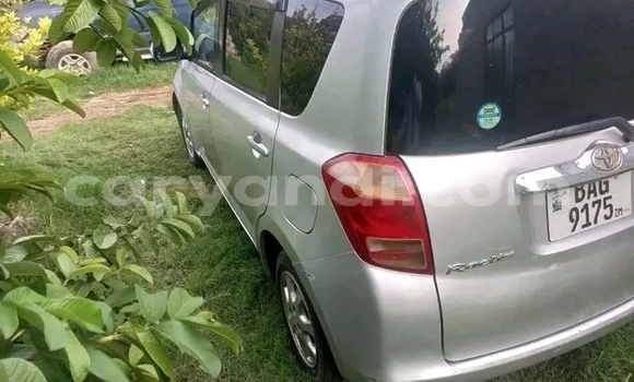 Buy Used Toyota Ractis Other Car in Limulunga in Western Buy Used Toyota Ractis Other Car in Limulunga in Western