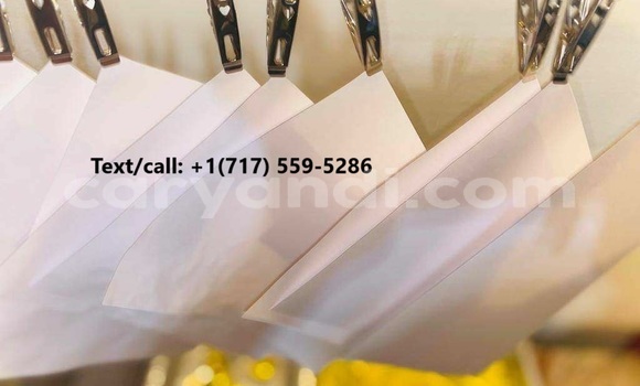 Tenga Tsaru Alpina B3 Bhurawuni Mota in Petauke in Eastern