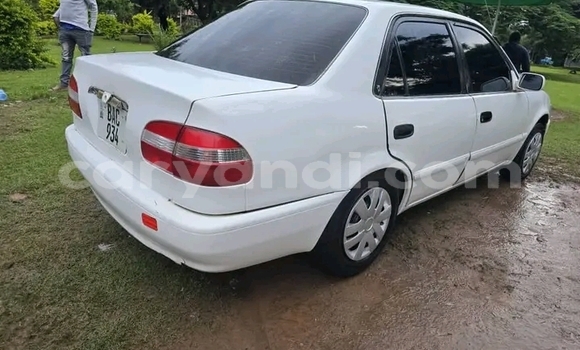 Buy Used Toyota Corolla White Car in Livingstone in Zambia Buy Used Toyota Corolla White Car in Livingstone in Zambia