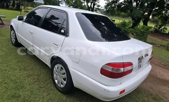 Buy Used Toyota Corolla White Car in Livingstone in Zambia Buy Used Toyota Corolla White Car in Livingstone in Zambia