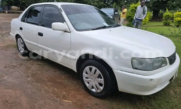 Buy Used Toyota Corolla White Car in Livingstone in Zambia Buy Used Toyota Corolla White Car in Livingstone in Zambia
