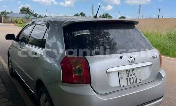 Buy Used Toyota Runx Other Car in Mpika in Northern Buy Used Toyota Runx Other Car in Mpika in Northern