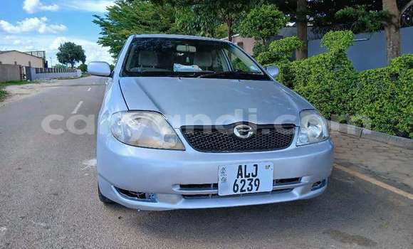 Acheter Occasion Voiture Toyota Runx Autre à Lusaka, Zambie Acheter Occasion Voiture Toyota Runx Autre à Lusaka, Zambie