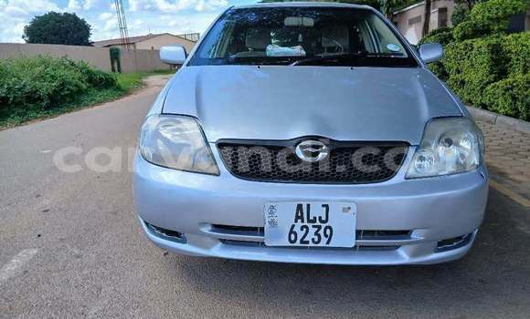 Acheter Occasion Voiture Toyota Runx Autre à Lusaka, Zambie Acheter Occasion Voiture Toyota Runx Autre à Lusaka, Zambie