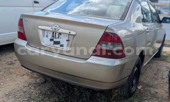 Buy Used Toyota Corolla Beige Car in Lusaka in Zambia Buy Used Toyota Corolla Beige Car in Lusaka in Zambia