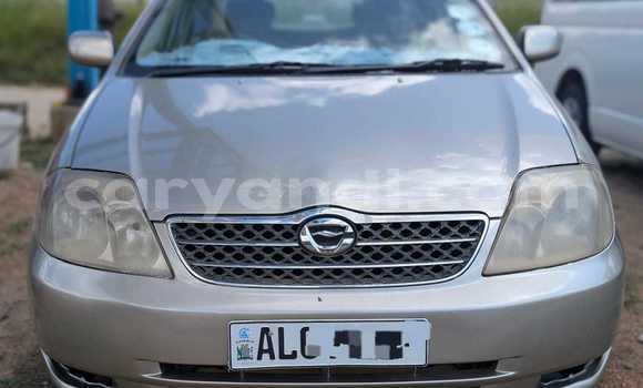 Buy Used Toyota Corolla Beige Car in Lusaka in Zambia Buy Used Toyota Corolla Beige Car in Lusaka in Zambia