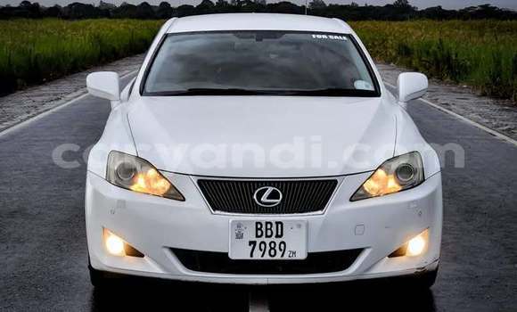 Buy Used Lexus IS White Car in Lusaka in Zambia