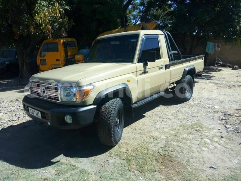 Big with watermark 56215478 2289346371153845 3482922944651329536 n