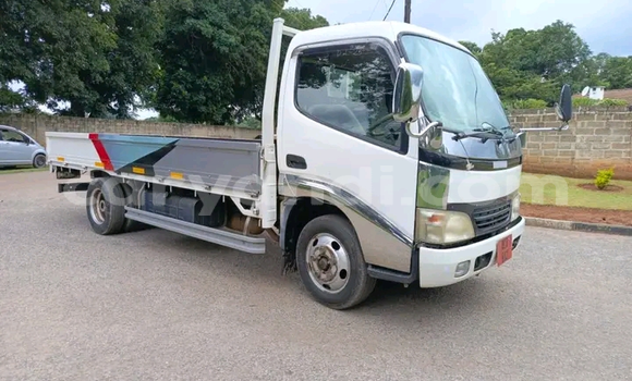 Buy New Toyota Dyna White Truck in Ndola in Zambia