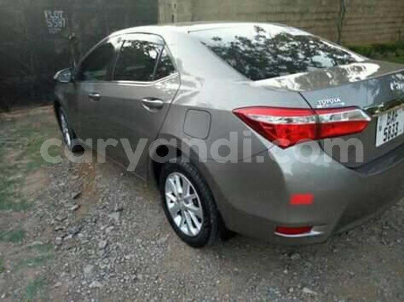 Big with watermark 56295300 2288051067950042 1283271232304709632 n