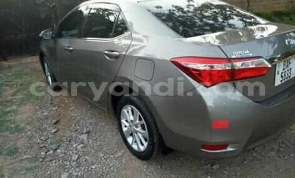 Buy Used Toyota Corolla Other Car in Lusaka in Zambia Buy Used Toyota Corolla Other Car in Lusaka in Zambia