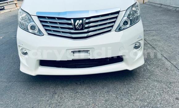 Buy New Toyota Alphard White Car in Kitwe in Zambia Buy New Toyota Alphard White Car in Kitwe in Zambia