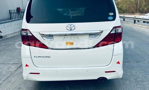 Buy New Toyota Alphard White Car in Kitwe in Zambia Buy New Toyota Alphard White Car in Kitwe in Zambia