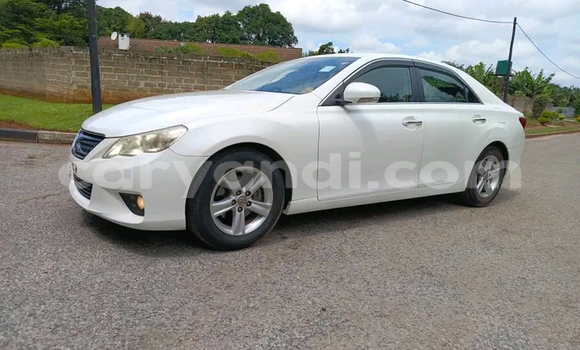 Buy New Toyota Mark X White Car in Ndola in Zambia