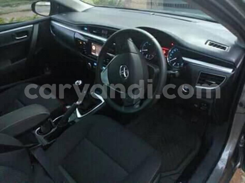 Big with watermark 55931057 2288051107950038 8077351264792346624 n