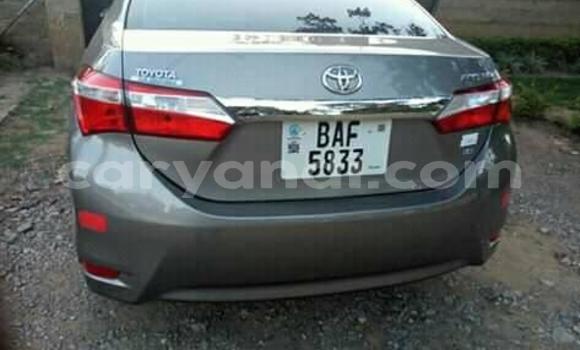 Buy Used Toyota Corolla Other Car in Lusaka in Zambia Buy Used Toyota Corolla Other Car in Lusaka in Zambia