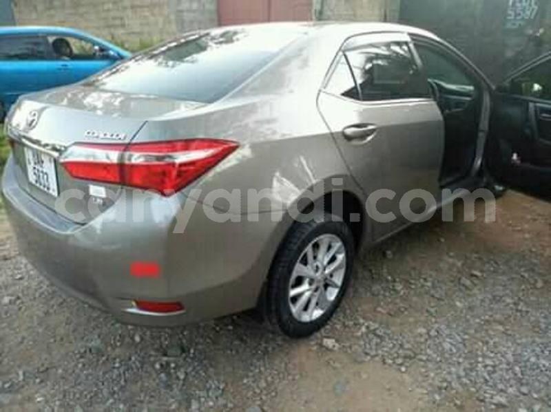 Big with watermark 55840566 2288051077950041 3140036352289013760 n